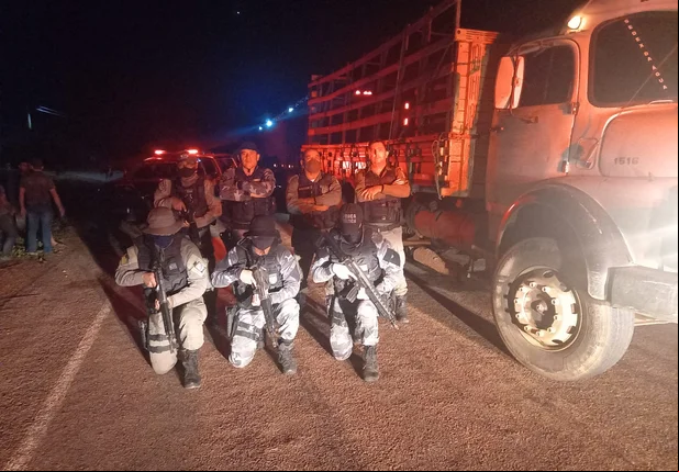 PM recupera 37 cabeças de gado roubadas de fazenda no Sul do Piauí