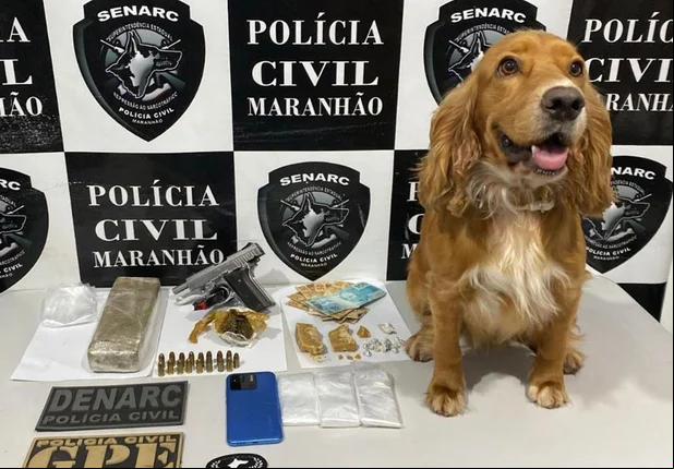Itens apreendidos em Timon