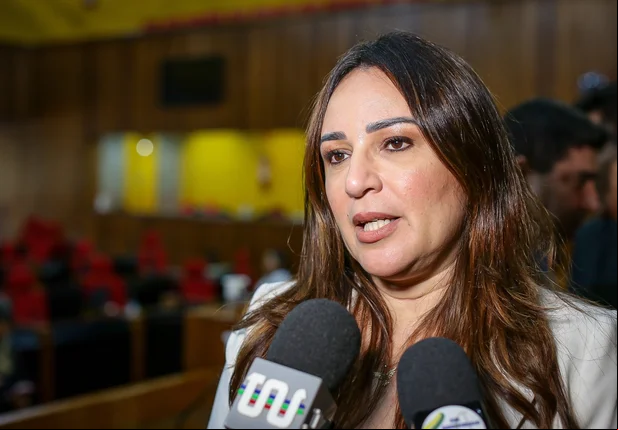 Rejane Dias teve o nome aprovado em sabatina na Alepi