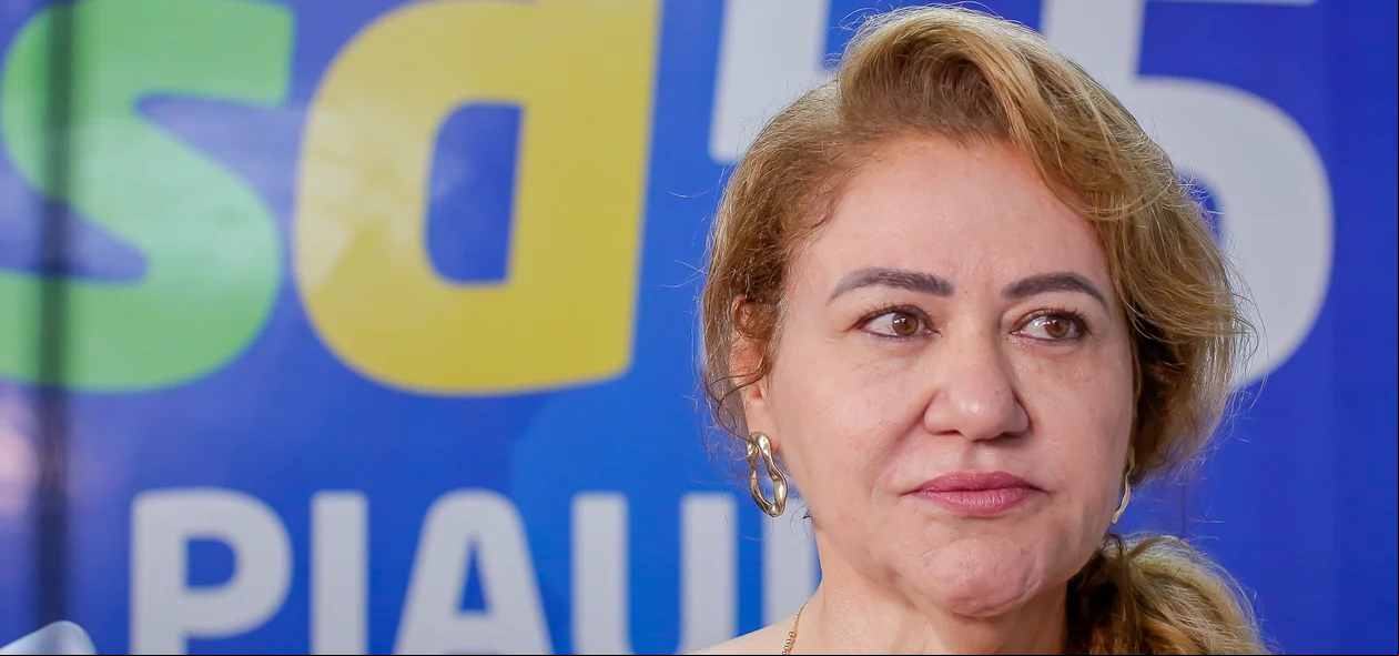 Simone Pereira, Deputada Estadual