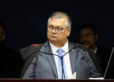 Ministro Flávio Dino