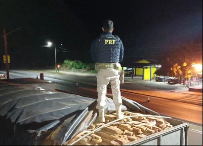 Carga de aproximadamente 60 metros cúbicos de madeira transportada ilegalmente