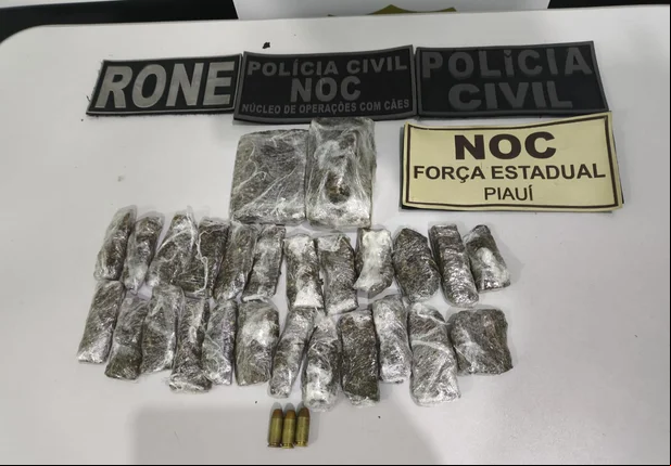 Drogas apreendidas na operação