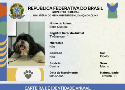 Emissão de Carteira de Identidade para pets