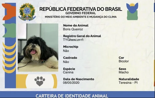Emissão de Carteira de Identidade para pets
