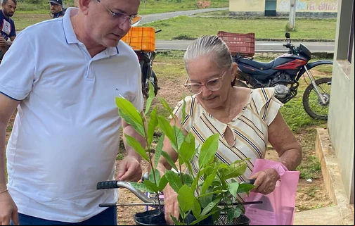 População recebe mudas