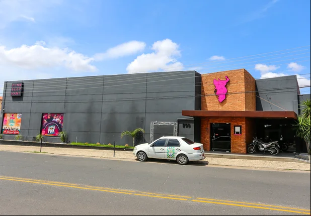 Pink Elephant