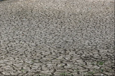 Seca no Piauí