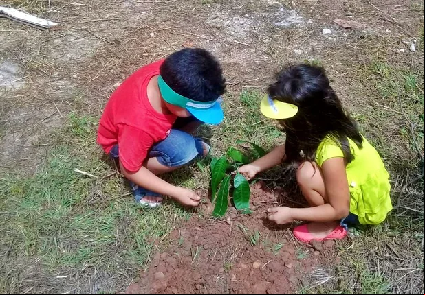 Semana Mundial do Meio Ambiente em Altos