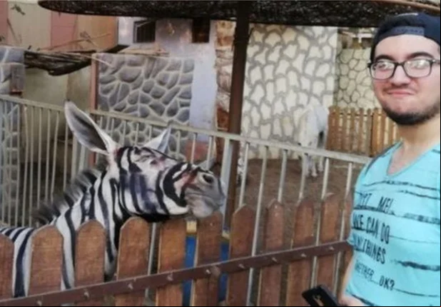 Estudante Mahmoud Sarhan ao lado da suposta zebra