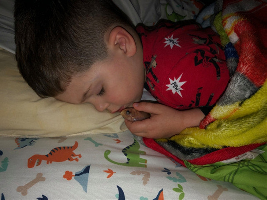 O menino amava tanto seu peixe que resolveu tirá-lo do aquário para que pudessem dormir abraçados