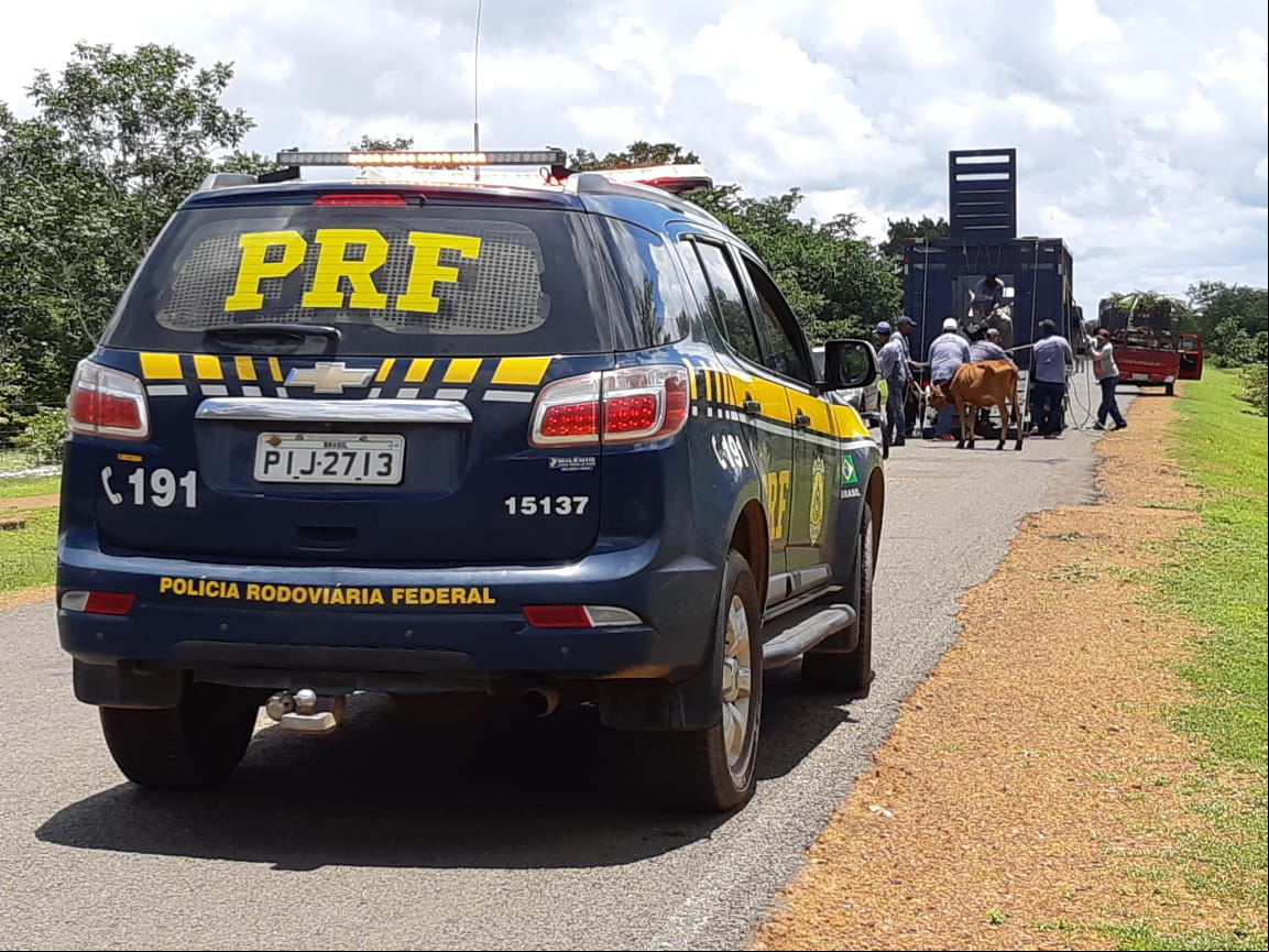 Ação da PRF nas rodovias estaduais