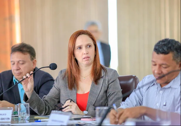 Viviane Moura, Superintendente de PPPs do Piauí