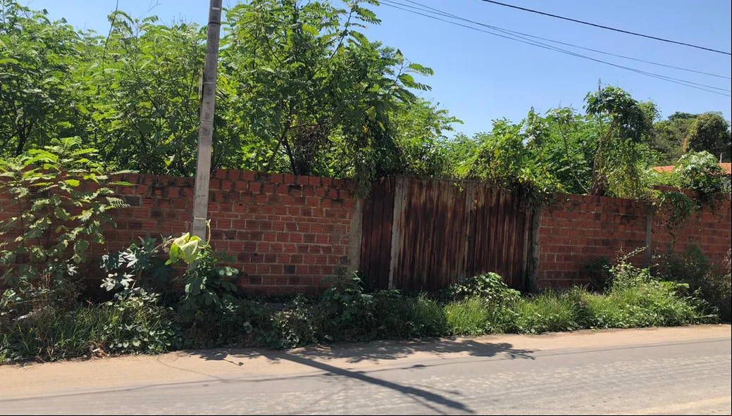 Muitos matos nos terrenos abandonados na zona sul de Teresina