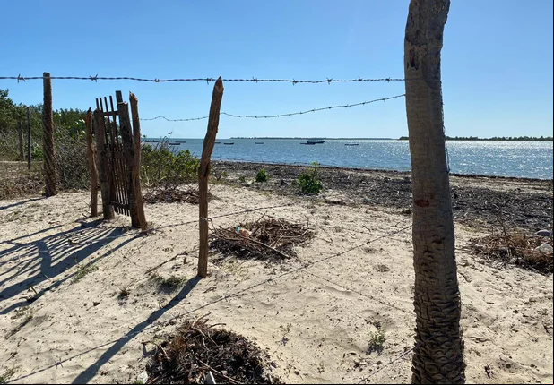 Cajueiro da Praia