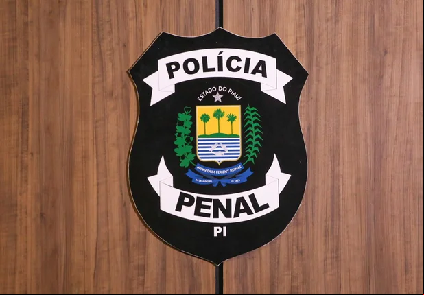 Polícia Penal do Piauí
