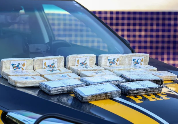 PRF apreende cocaína avaliada em R$ 1 milhão na BR 316 no Piauí