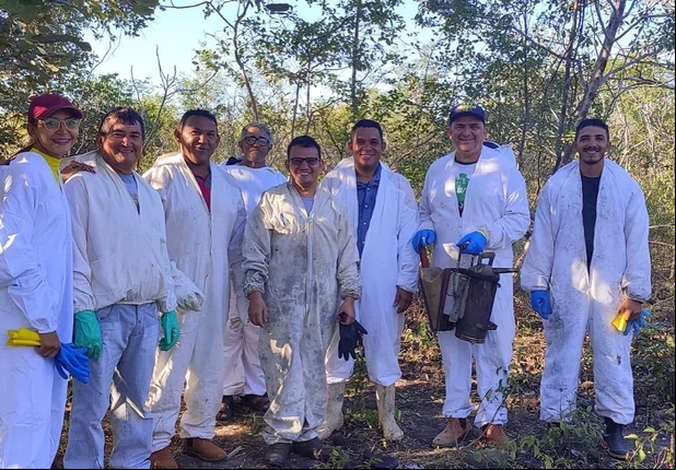 Sebrae realiza cursos de agricultura em Lagoa de São Francisco