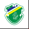 Associação Atlética de Altos