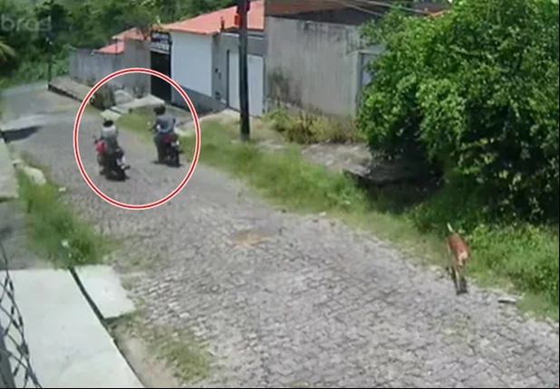 Câmera flagra bandidos roubando moto na zona leste de Teresina